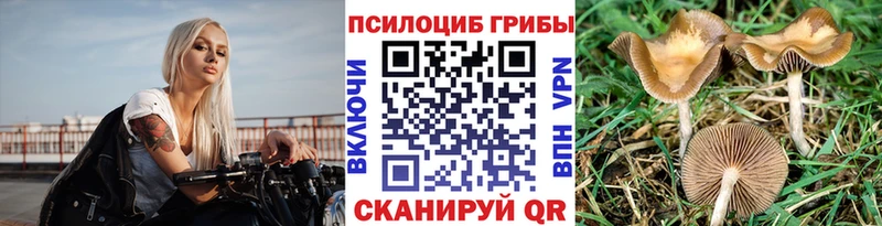Галлюциногенные грибы ЛСД Мценск